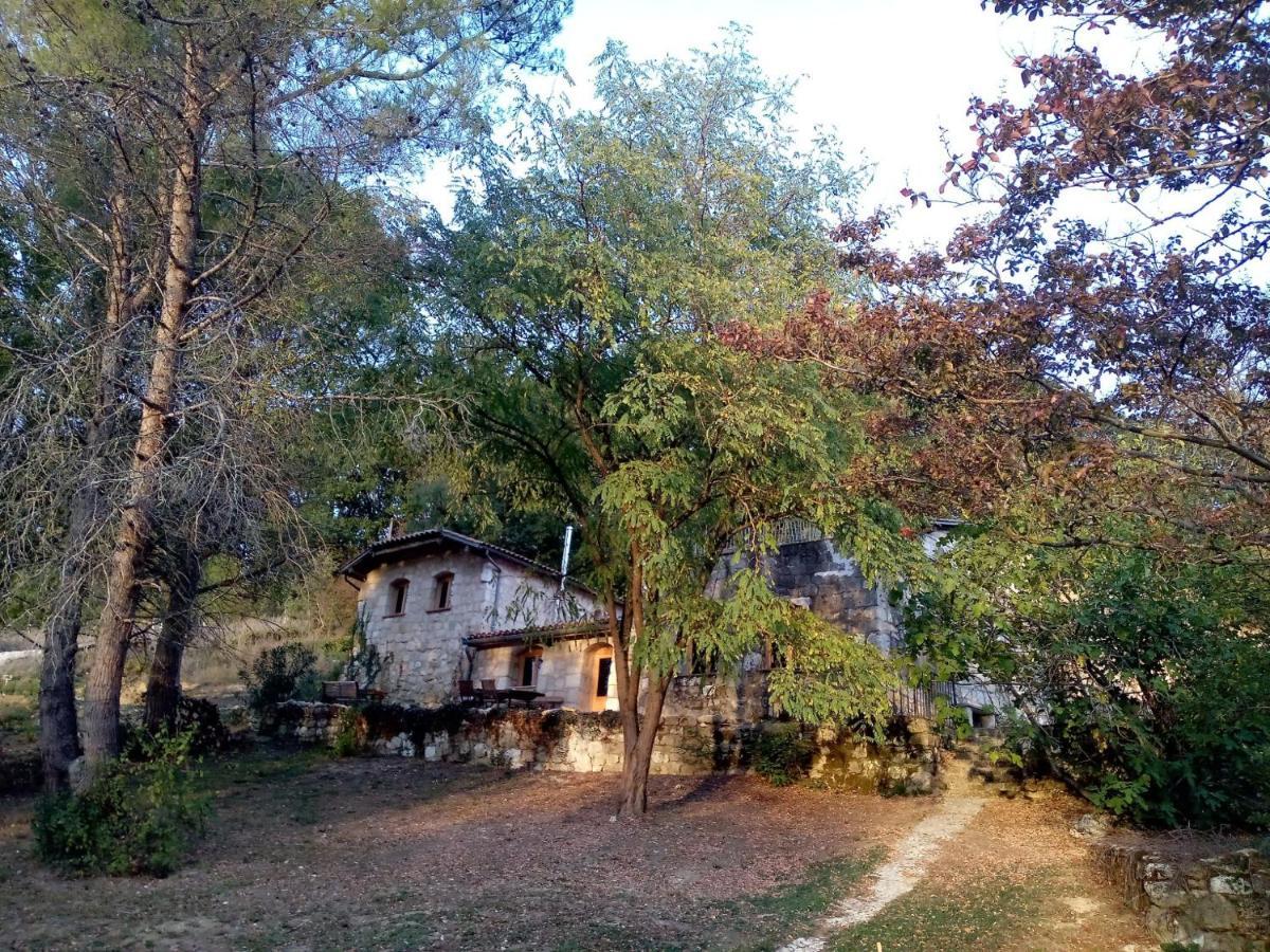 Grand Gite Les Cabanes De Fallot Pour 19 Personnes - Piscine Naturelle L'isle-Bouzon 외부 사진