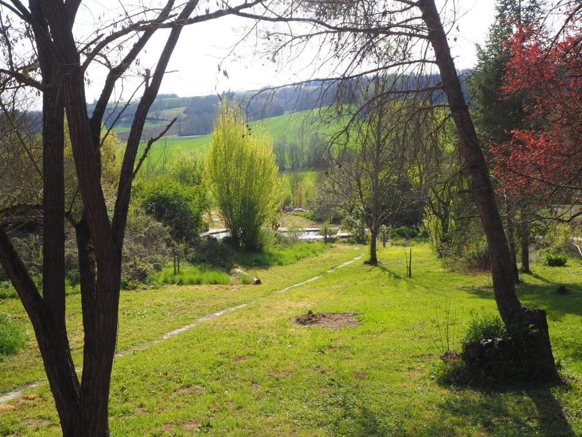Grand Gite Les Cabanes De Fallot Pour 19 Personnes - Piscine Naturelle L'isle-Bouzon 외부 사진