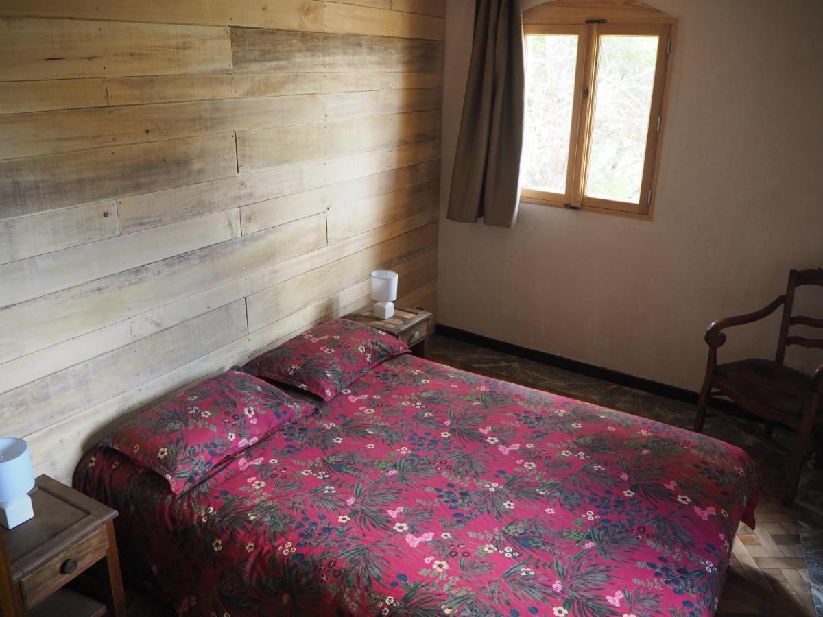 Grand Gite Les Cabanes De Fallot Pour 19 Personnes - Piscine Naturelle L'isle-Bouzon 외부 사진